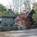 Temenos Farmhouse in the Fall