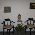 Havertown Yoga for Beginners