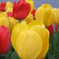 Half Day Romantic Retreats Philadelphia