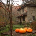 Temenos in West Chester, PA
