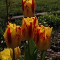 Marriage Retreats in PA