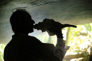 mayan-shaman-wedding-synergy-by-jasmine.com